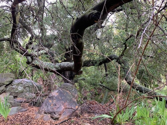 Camino Rainbow Fallbrook Ca Fallbrook, CA 92028 - Photo 14 of 25