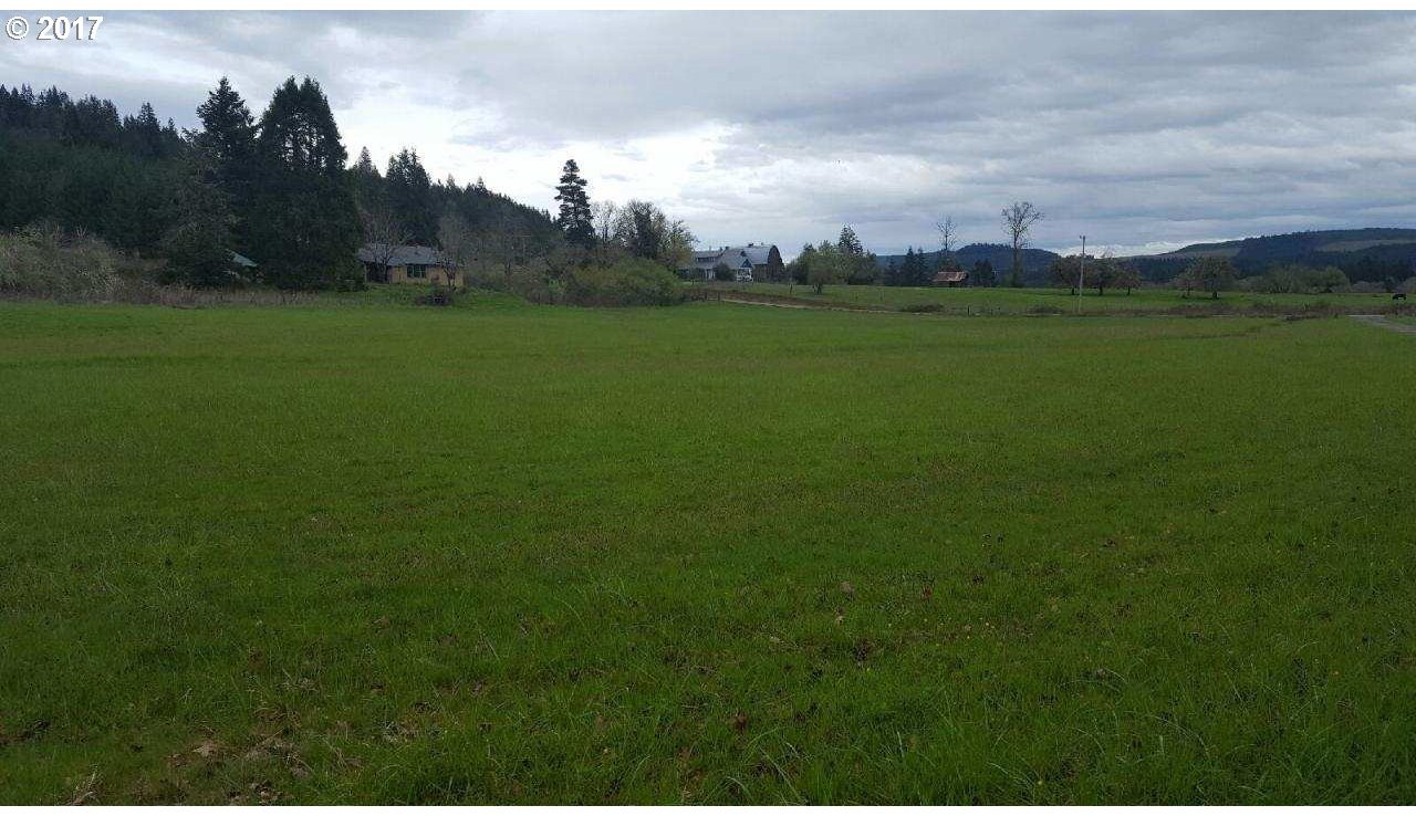 2484 Westside Road Camas Valley, OR 97416 - Photo 3 of 5