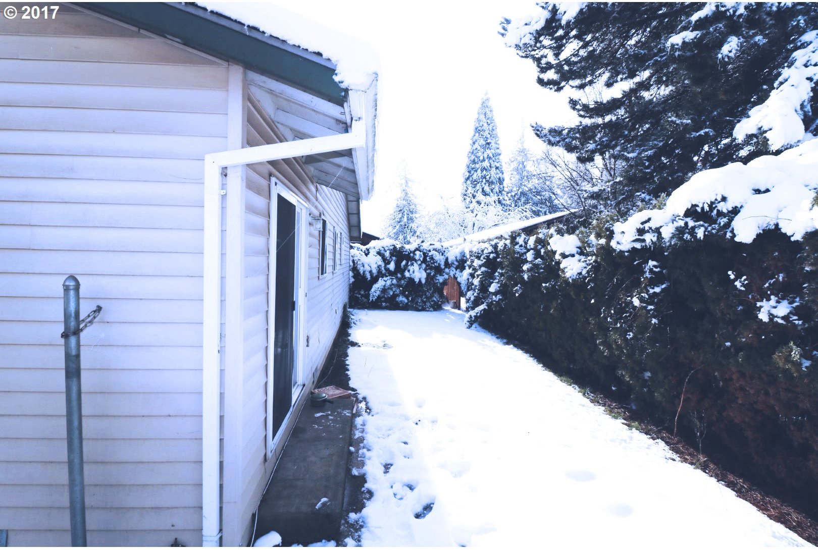 2122 Rhodora Street Forest Grove, OR 97116 - Photo 11 of 20 Gallery Image 11