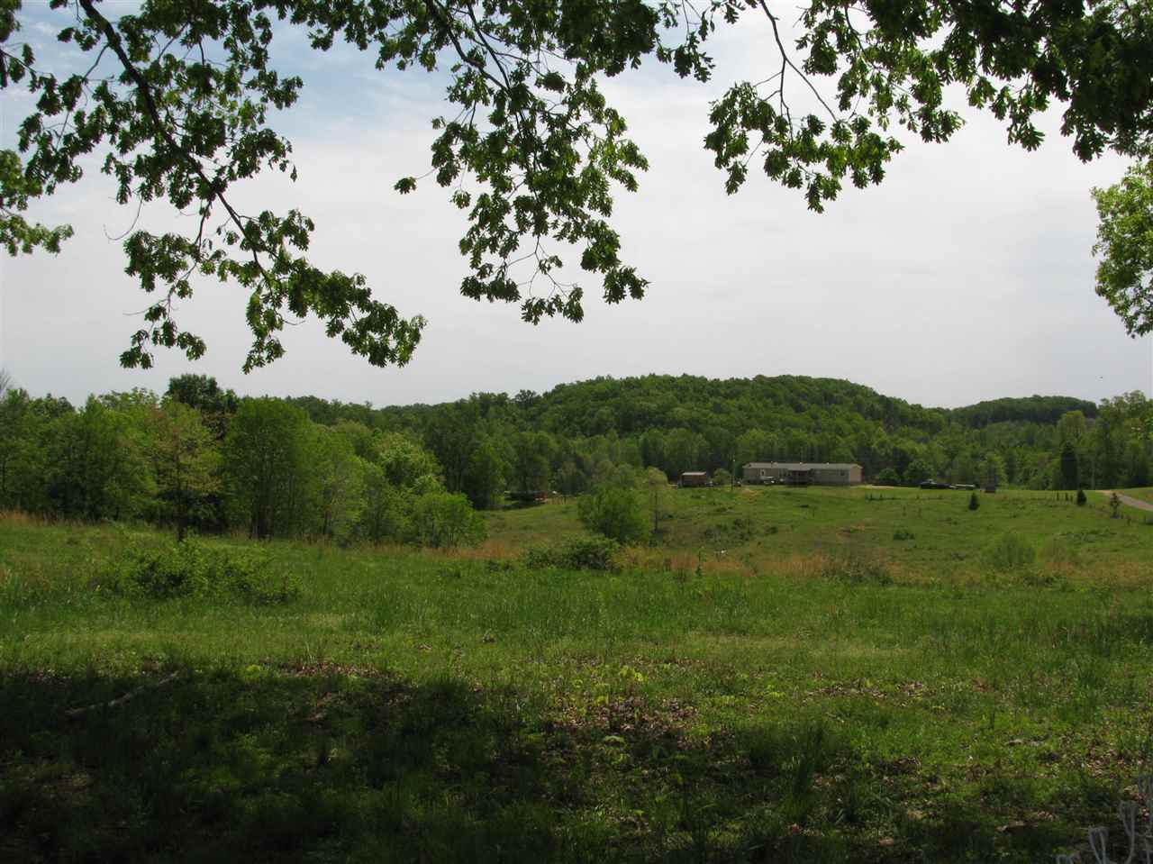 80 Nance Bend Road Clifton, TN 38425 - Photo 2 of 25 Gallery Image 2