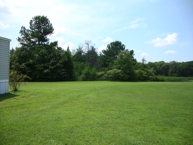 300 Spears Road Henderson, TN 38340 - Photo 4 of 19
