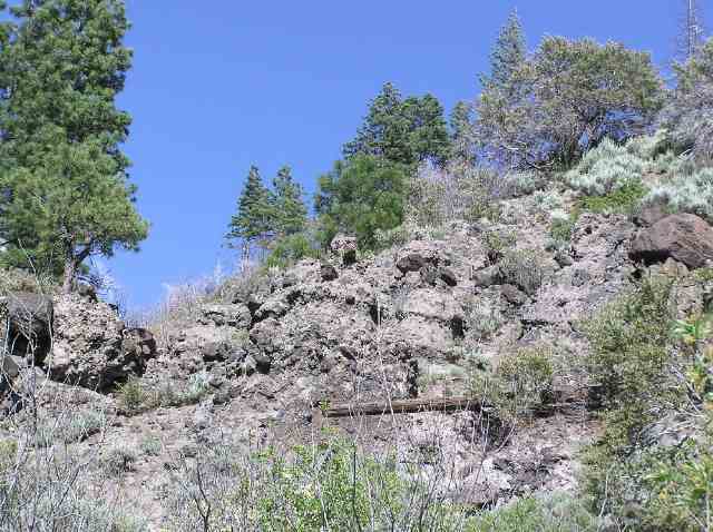 14441 Iceland Road Floriston, CA 96111 - Photo 4 of 4