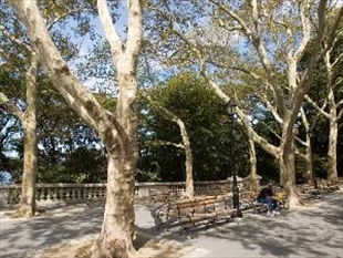 725 Riverside Drive, Unit 2A Manhattan, NY 10031 - Photo 5 of 5 Gallery Image 5