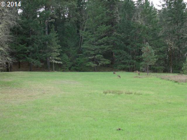 305 Ray Drive Merlin, OR 97532 - Photo 3 of 10 Gallery Image 3
