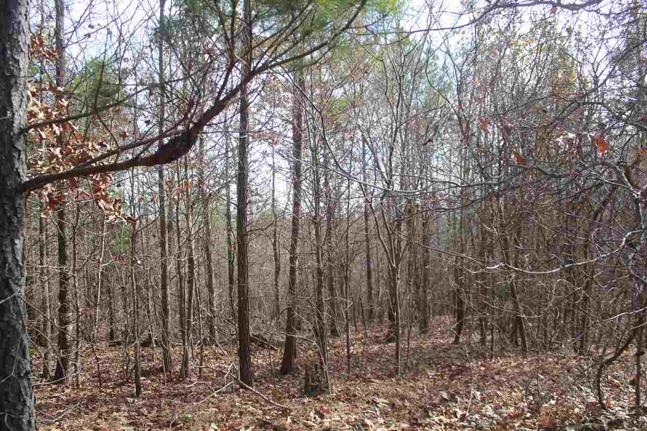 0 Blackjack Ridge Falkner, MS 38629 - Photo 17 of 21 Gallery Image 17
