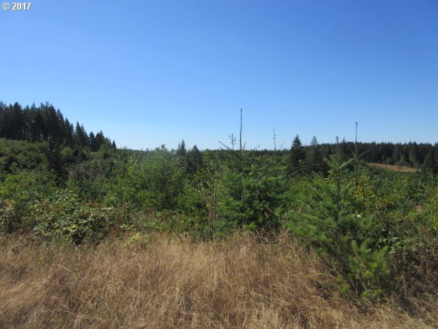 Deverell Road Corbett, OR 97019 - Photo 12 of 20 Gallery Image 12