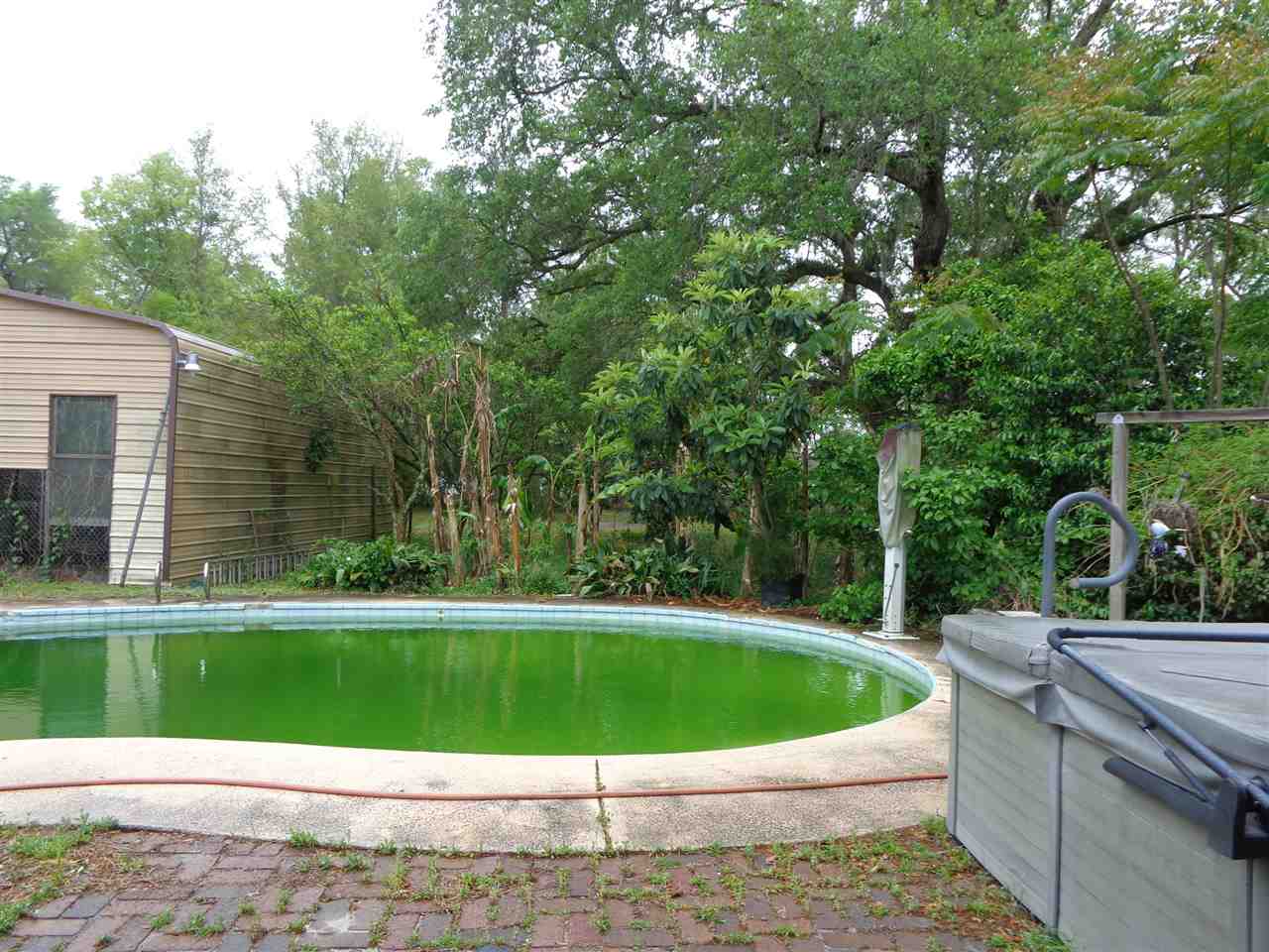 121 Carole Road Palatka, FL 32177 - Photo 20 of 24 Gallery Image 20