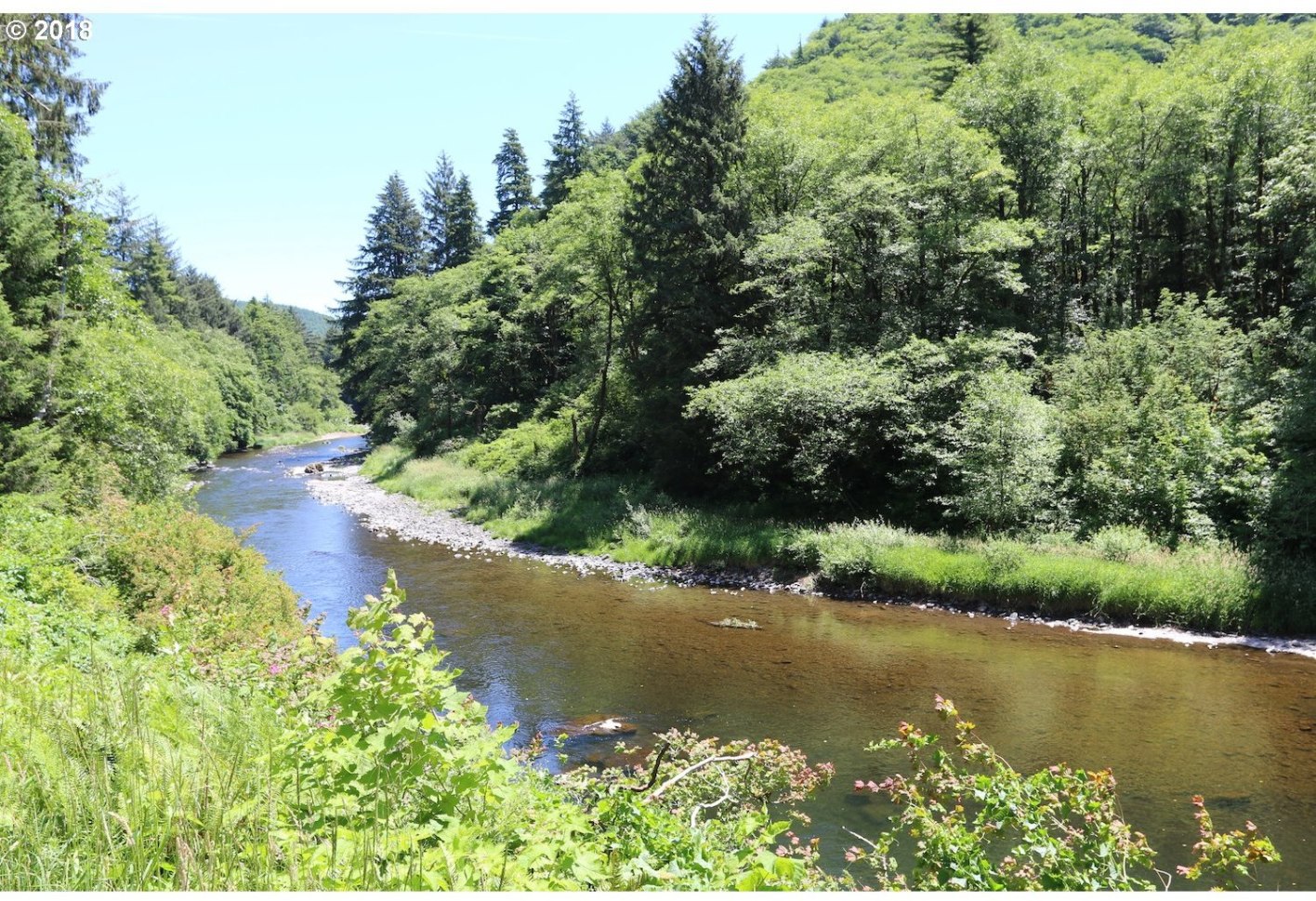 Trask River Road, Unit 700 Tillamook, OR 97141 - Photo 4 of 9