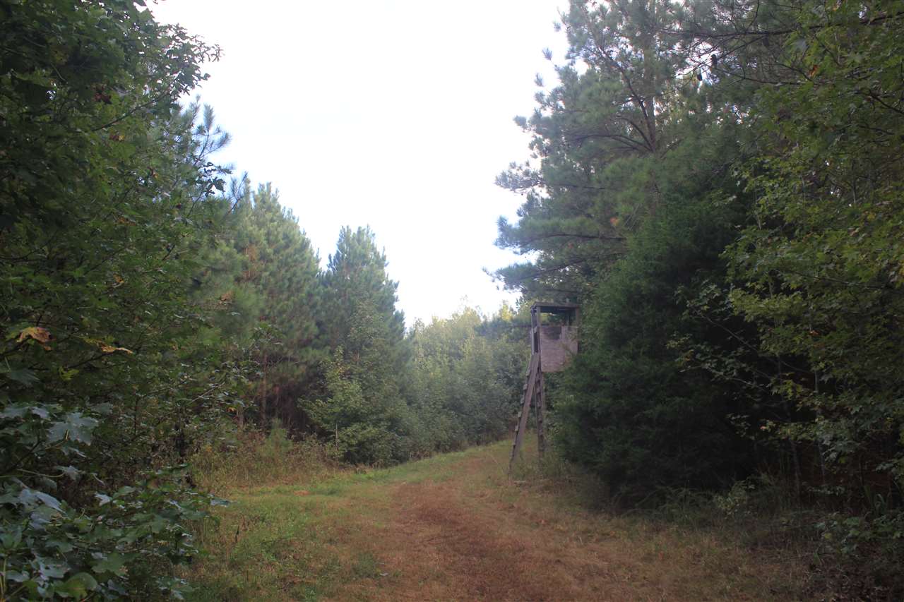 1433 Freeman Road Como, MS 38619 - Photo 22 of 25 Gallery Image 22