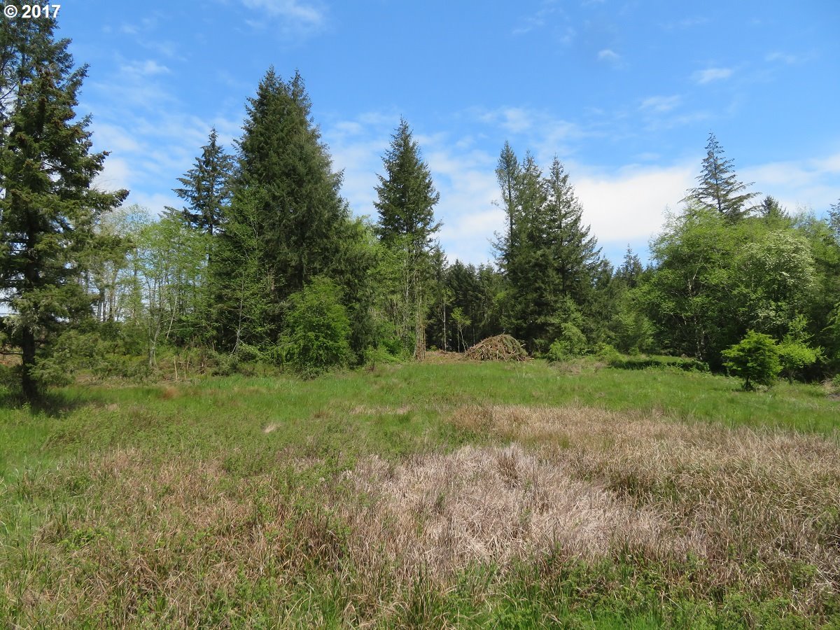 South Military Road Winlock, WA 98596 - Photo 18 of 26
