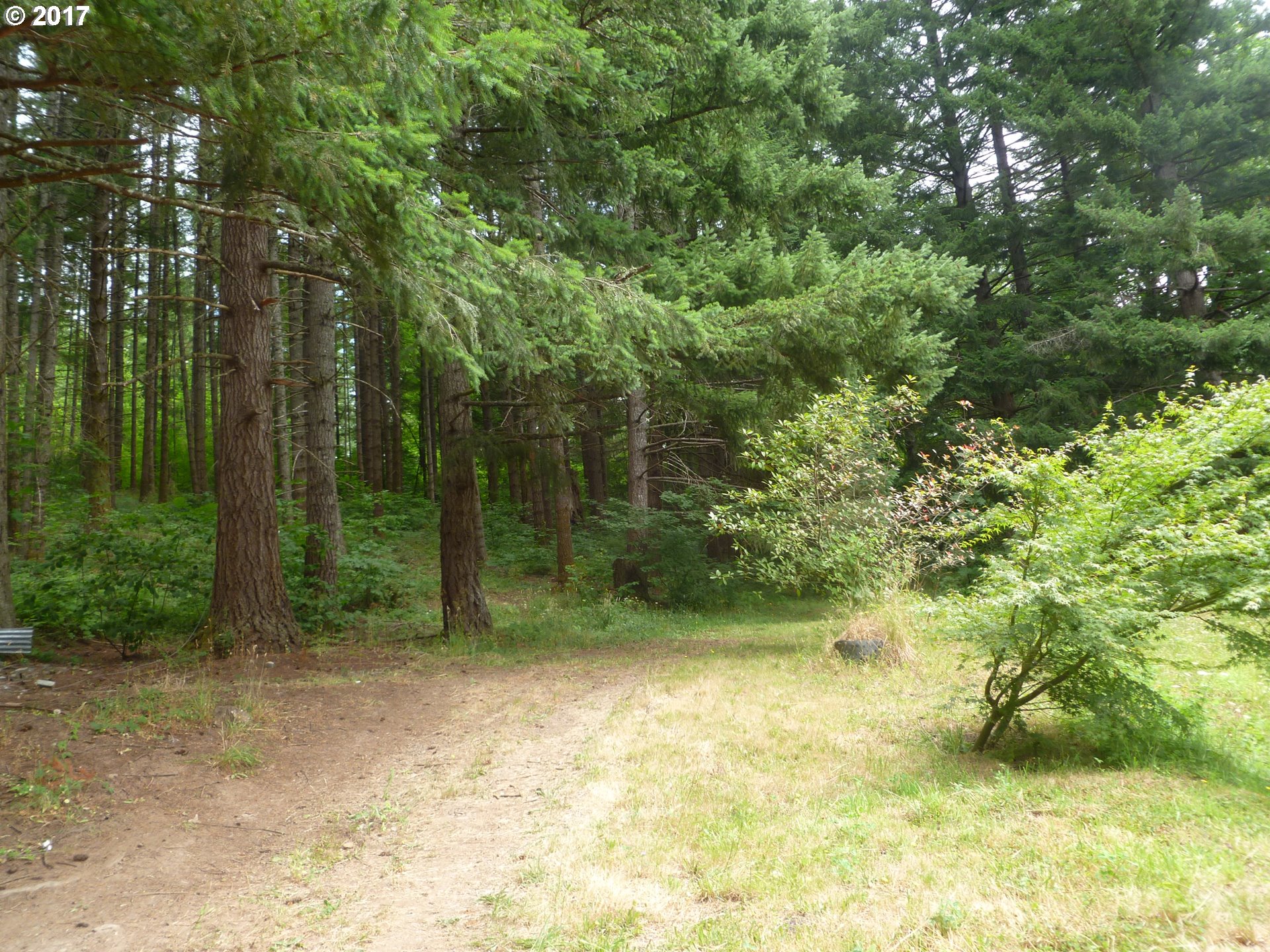 39321 Southeast Fall Creek Road Estacada, OR 97023 - Photo 14 of 22 Gallery Image 14