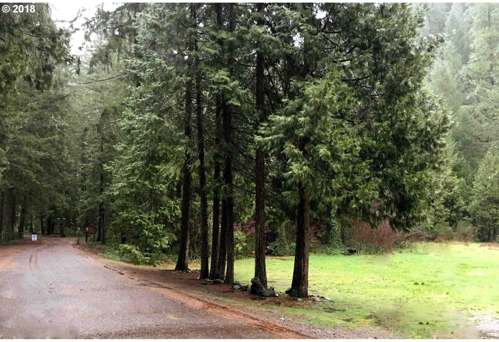 Rose Street Blue River, OR 97413 - Photo 1 of 4 Gallery Image 1
