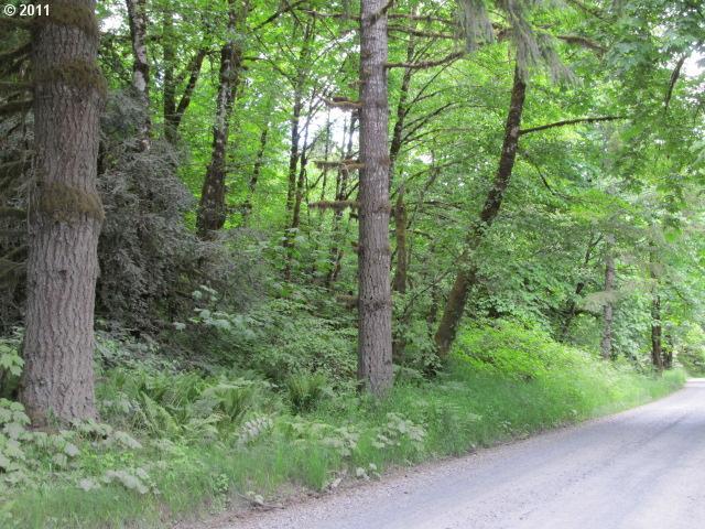 62700 Northwest Cochran Road Timber, OR 97144 - Photo 4 of 7 Gallery Image 4