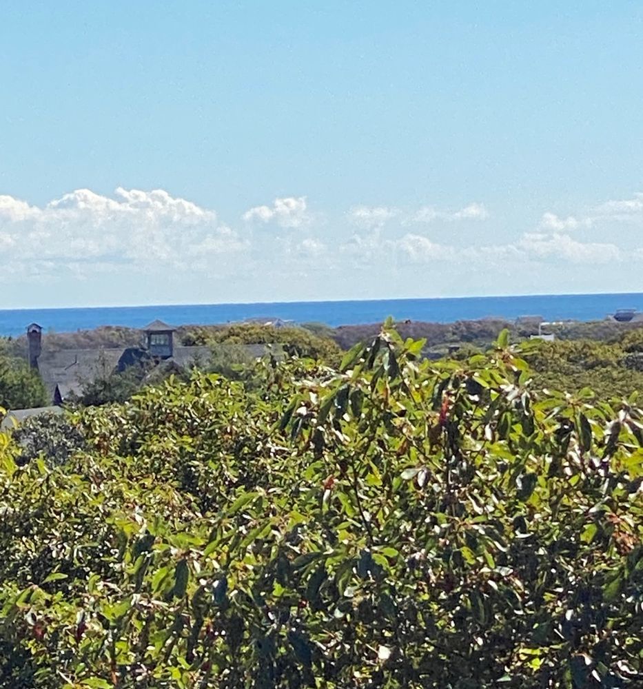 6 Sandpiper Way Nantucket, MA 02554 - Photo 28 of 40