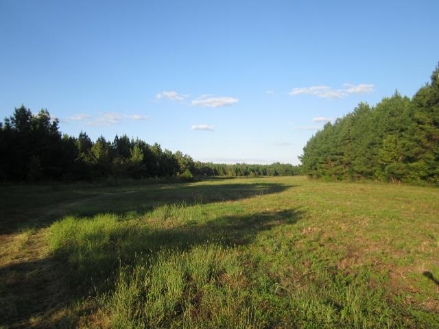 223 Musgray Road Holly Springs, MS 38635 - Photo 17 of 19 Gallery Image 17