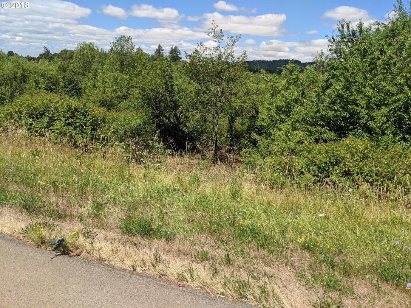 Marcola Road Springfield, OR 97478 - Photo 12 of 12