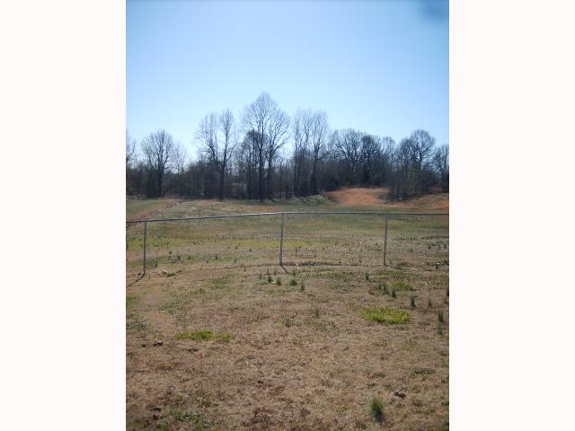 1515 Appleberry Road Atoka, TN 38004 - Photo 9 of 10 This is the view of the back yard, partially fenced for their kids/dog, great for BBQ's! The property goes all the way to the trees!! Come and enjoy!