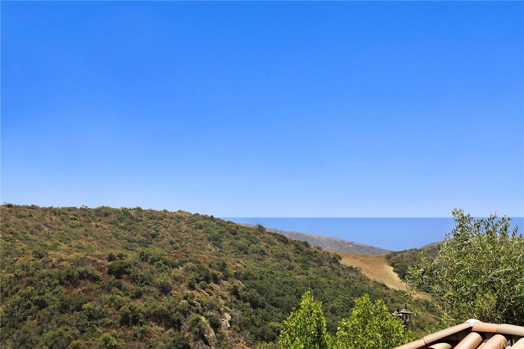 39 Pacific Mist Newport Coast, CA 92657 - Photo 2 of 30