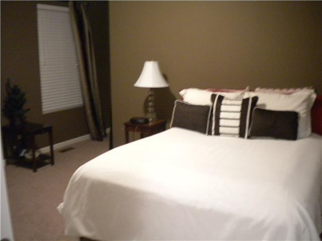 1015 Daniel Lane Spring Hill, TN 37174 - Photo 13 of 18 bedroom #2