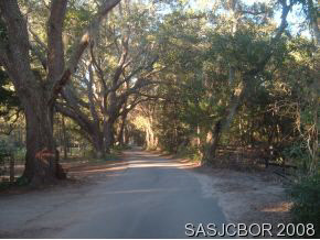 4540 Carter Road St. Augustine, FL 32086 - Photo 3 of 9 Carter Rd - Tree Lined Street