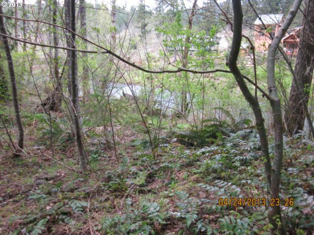 Old Blaidsdell Road Carson, WA 98610 - Photo 4 of 6 Gallery Image 4