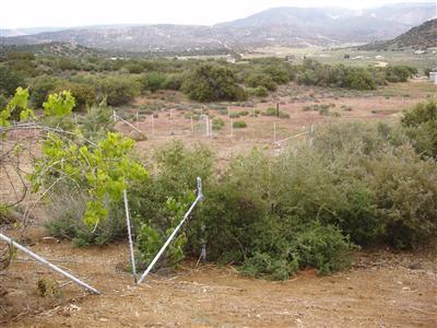 12821 Umtali Road Tehachapi, CA 93561 - Photo 8 of 12