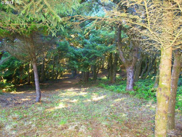 North Chantrelle Lane Gold Beach, OR 97444 - Photo 15 of 16