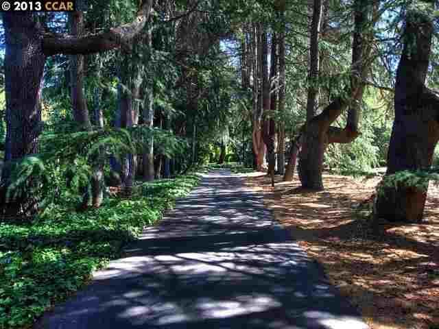 3802 Happy Valley Road Lafayette, CA 94549 - Photo 1 of 1