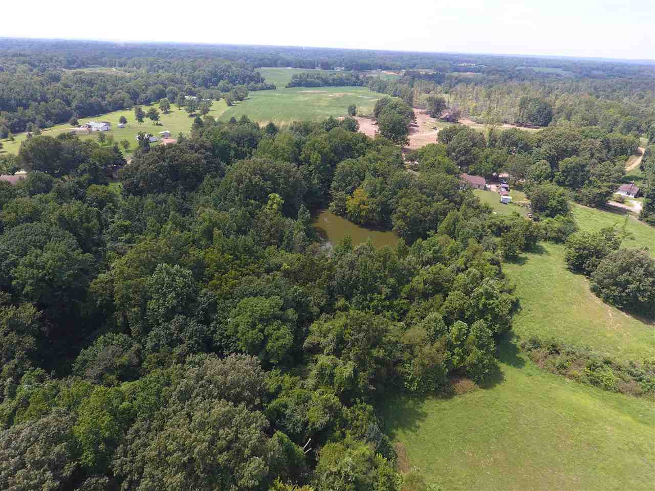 3 Bucksnort Road Covington, TN 38019 - Photo 7 of 8 Gallery Image 7