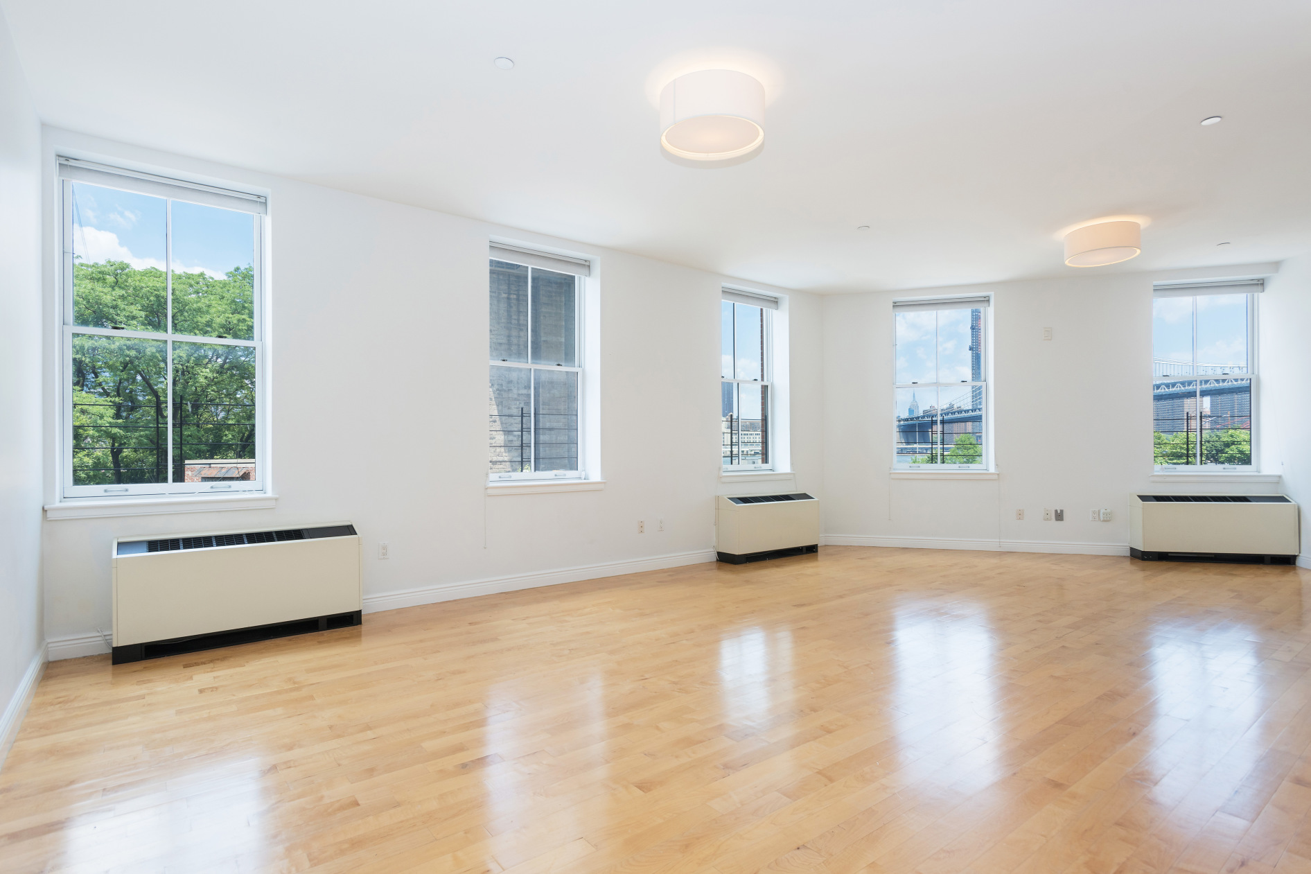 4 Water Street, Unit 2B Brooklyn, NY 11201 - Photo 8 of 12