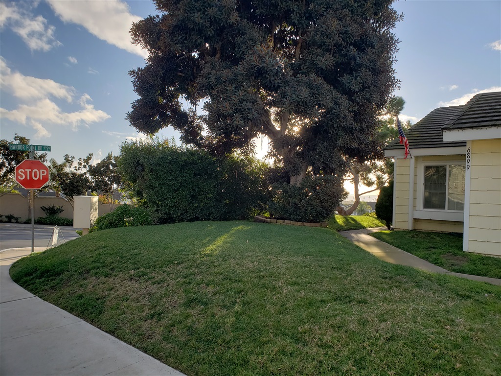 6899 Watercourse Drive Carlsbad, CA 92011 - Photo 6 of 20