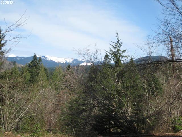 Brown Road Washougal, WA 98671 - Photo 13 of 15 Gallery Image 13