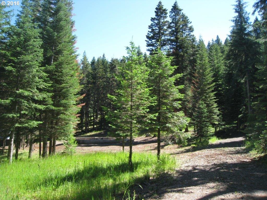 61099 Old Ski Run Road Joseph, OR 97846 - Photo 8 of 17 Gallery Image 8