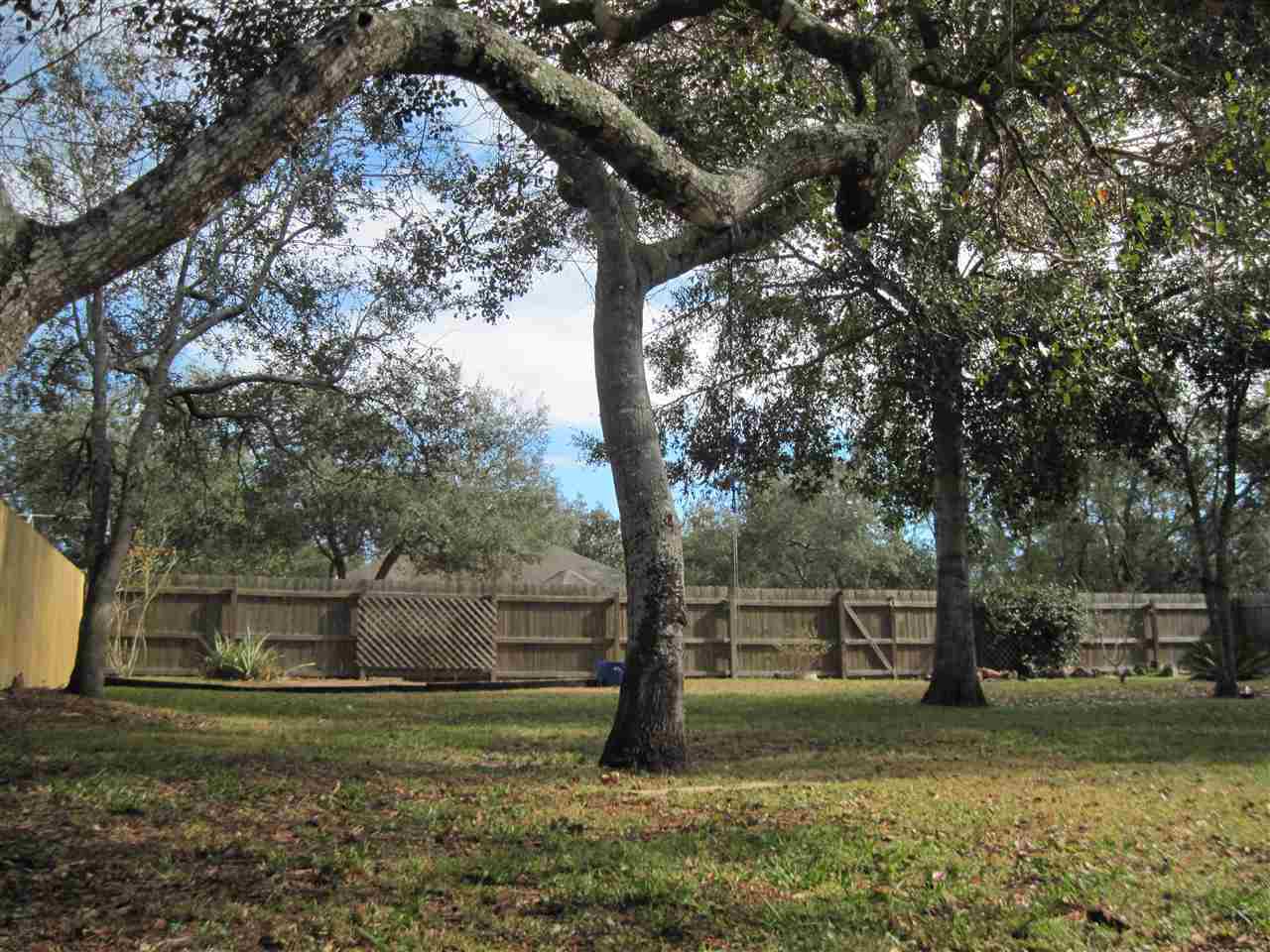 437 Segovia Road St. Augustine, FL 32086 - Photo 39 of 44