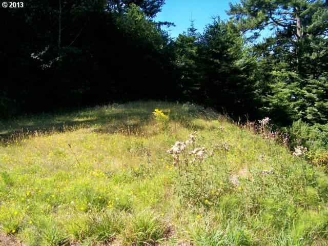 Tom Cat Hill Road Gold Beach, OR 97444 - Photo 3 of 4 Gallery Image 3