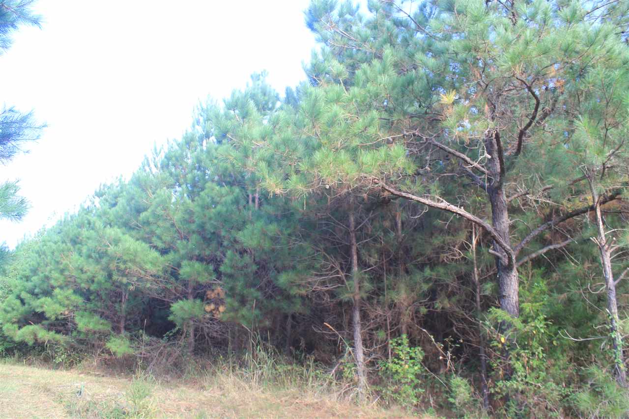 1433 Freeman Road Como, MS 38619 - Photo 20 of 25 Gallery Image 20
