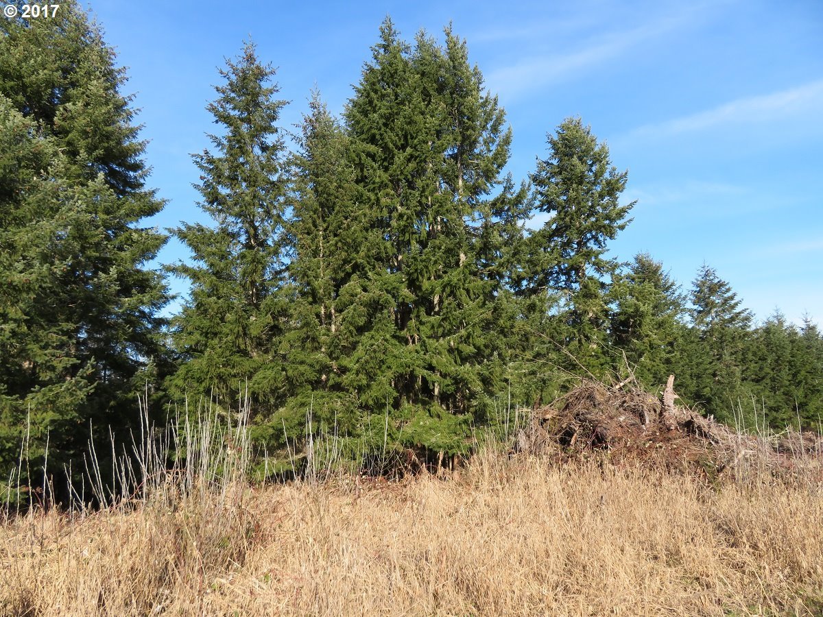 Cousins Road, Unit 3 Chehalis, WA 98532 - Photo 32 of 32
