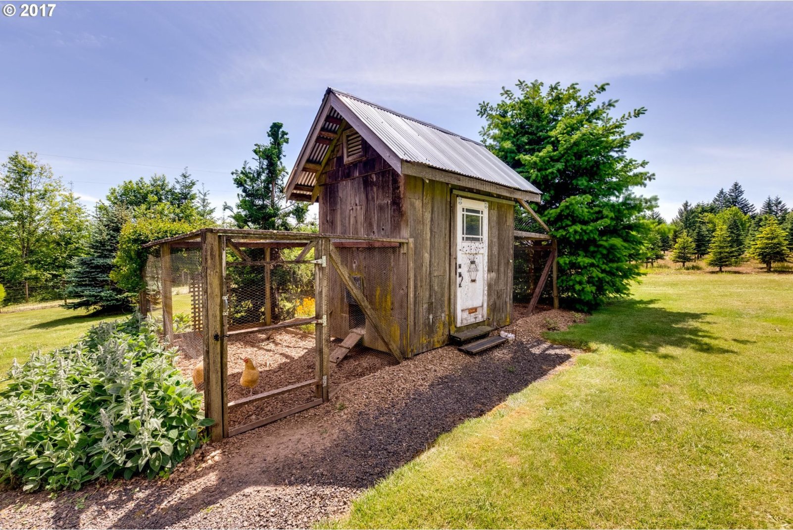 21822 Northwest Pumpkin Ridge Road North Plains, OR 97133 - Photo 31 of 32 Gallery Image 31