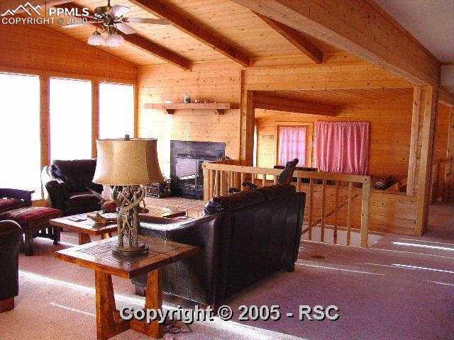 1421 Apache Road Florissant, CO 80816 - Photo 6 of 9 Living room with fireplace, walls of windows, 2 walkouts