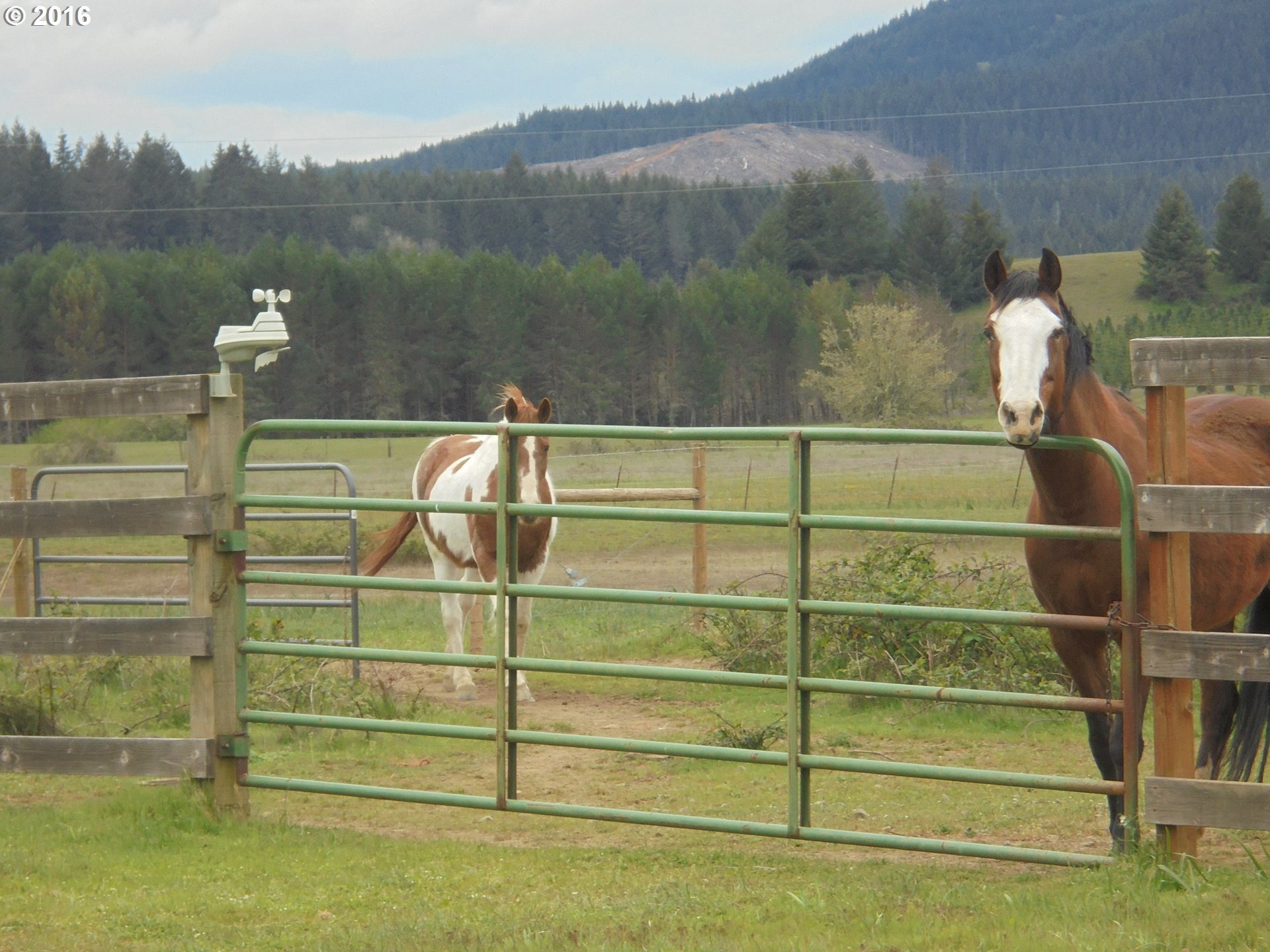 1106 Westside Road Camas Valley, OR 97416 - Photo 15 of 31