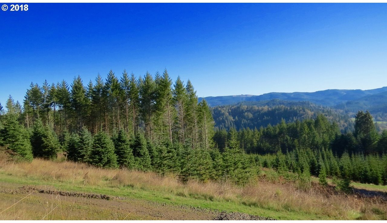 6567 Boswell Road Yoncalla, OR 97499 - Photo 6 of 17