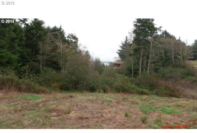 3024 Lighthouse Keepers Road Ilwaco, WA 98624 - Photo 4 of 7 Gallery Image 4