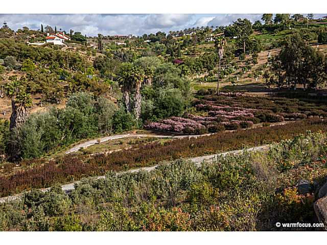 30643 Vía Maria Elena Bonsall, CA 92003 - Photo 21 of 25