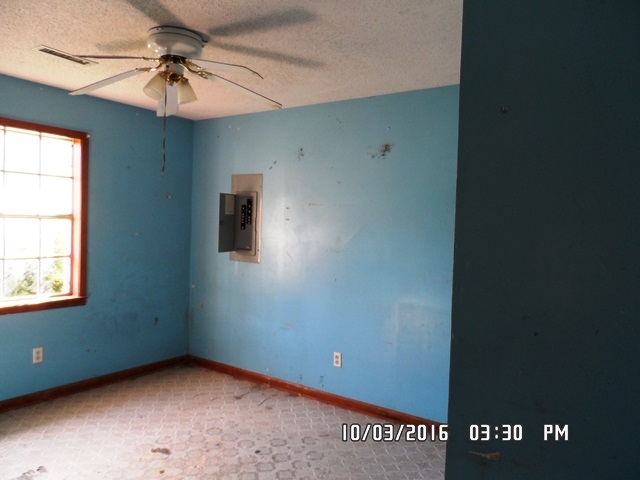 828 Peeler Road Covington, TN 38019 - Photo 15 of 20 Gallery Image 15