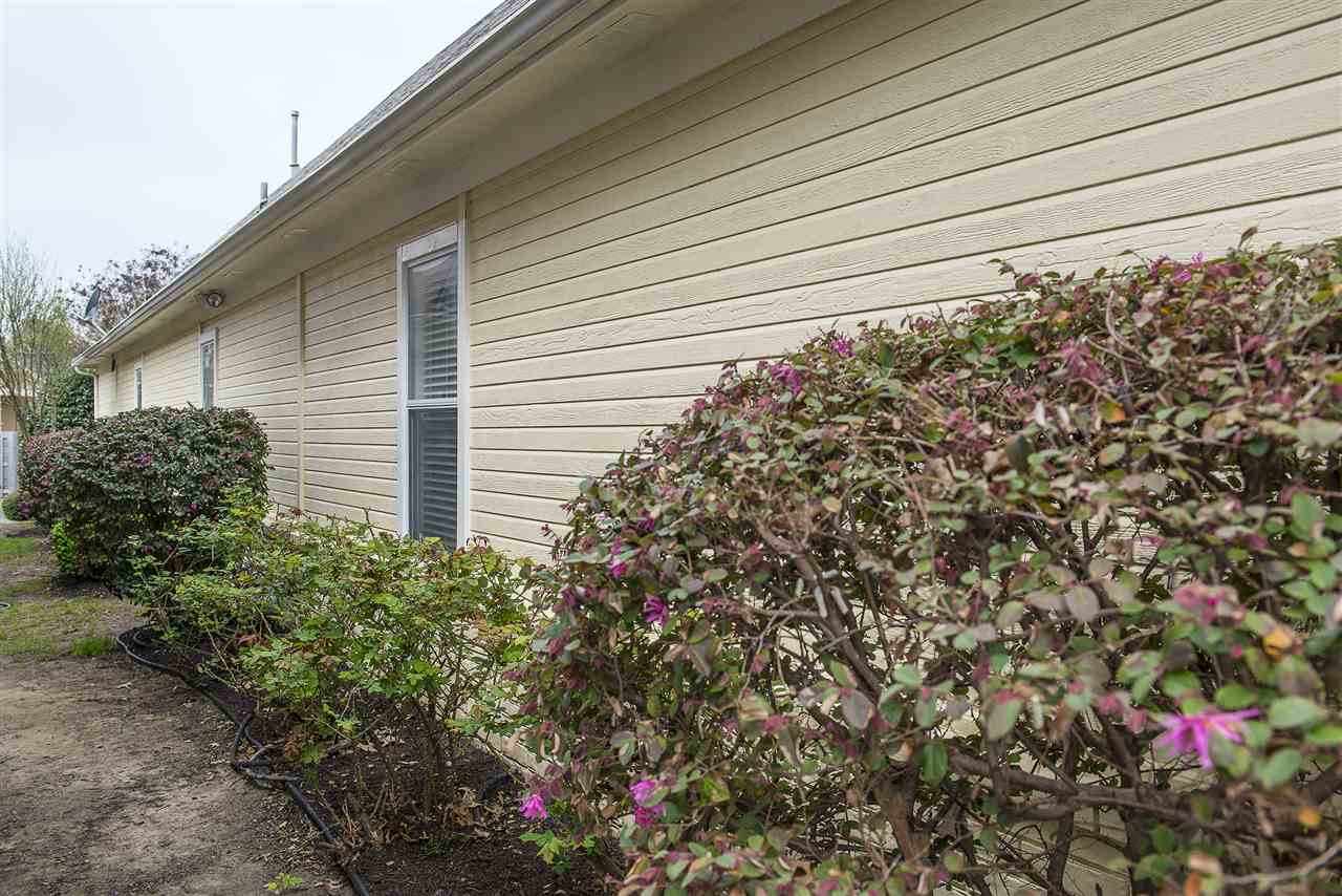 1237 Misty Isle Drive Memphis, TN 38103 - Photo 19 of 22 South side yard of the home. See the nice mature shrubs, rose bushes and manicured beds.