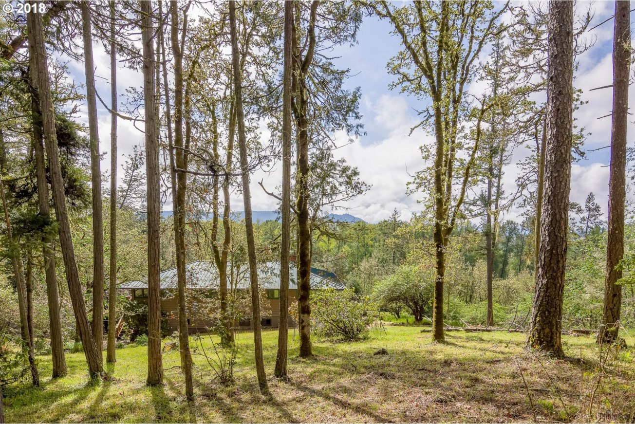 35781 Camp Creek Road Springfield, OR 97478 - Photo 4 of 32