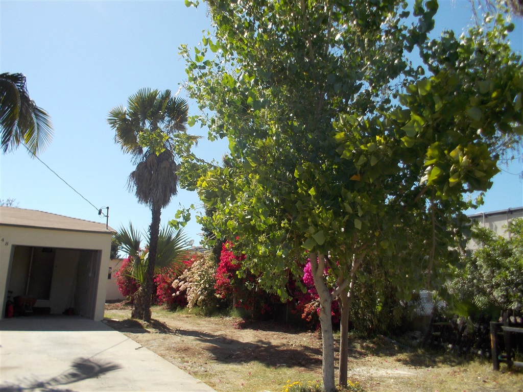 548 Maria Avenue Spring Valley, CA 91977 - Photo 5 of 5