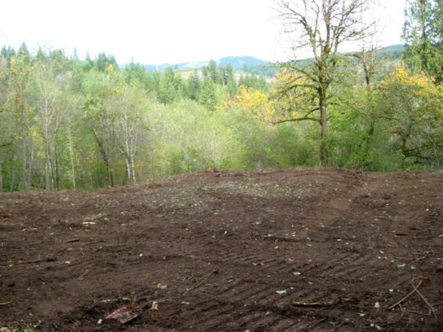 1021 Mathews Road Washougal, WA 98671 - Photo 1 of 16 Gallery Image 1