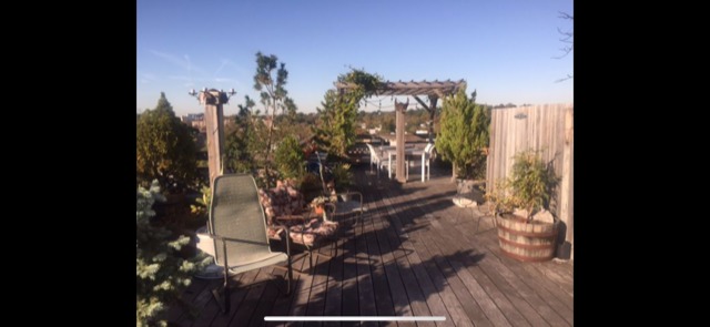 207 Prospect Park Southwest, Unit PHA Brooklyn, NY 11218 - Photo 2 of 4