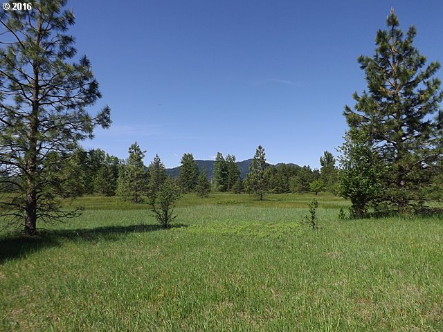 101 Lahar Road, Unit 1 Trout Lake, WA 98650 - Photo 3 of 22 Gallery Image 3